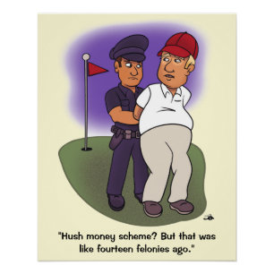 Pôster Trump Felonies Glossy