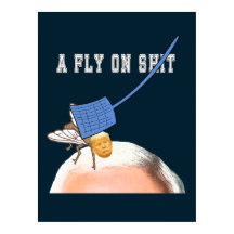 Trump Fly on Pence Head with Flyswatter, ZFJ