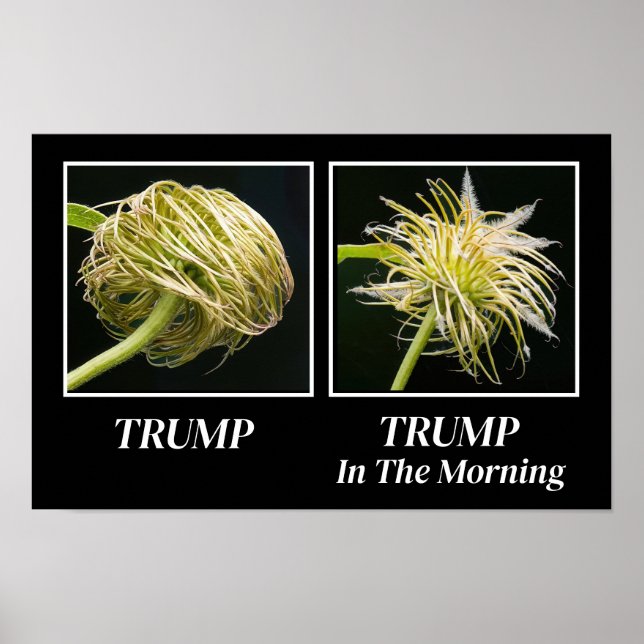 Poster Trump Hair (Frente)