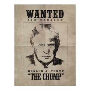 Pôster Trump queria Poster - Trump trump