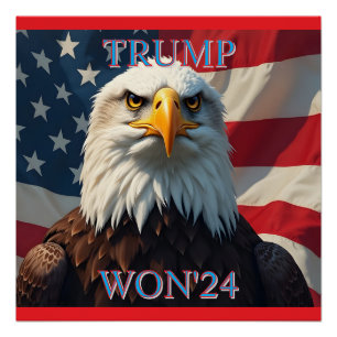 PÔSTER TRUMP WON 2024