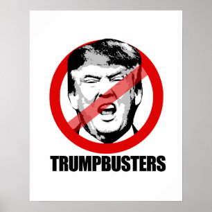 Pôster Trumpbusters -