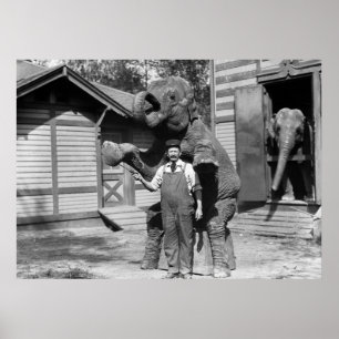 Pôster Truque esperto do elefante, 1910s