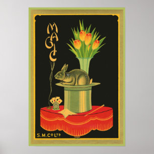 Poster Truques mágicos