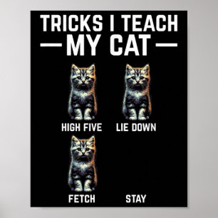 Poster Truques Que Ensino O Meu Gato - Pai Engraçado De G