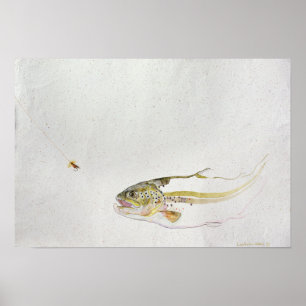 Pôster Truta que persegue a mosca de um pescador