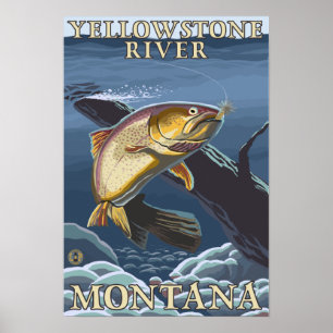 Poster Truta que pesca o secção transversal 3