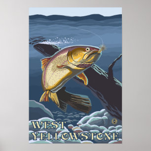 Poster Truta que pesca o secção transversal - Yellowsto