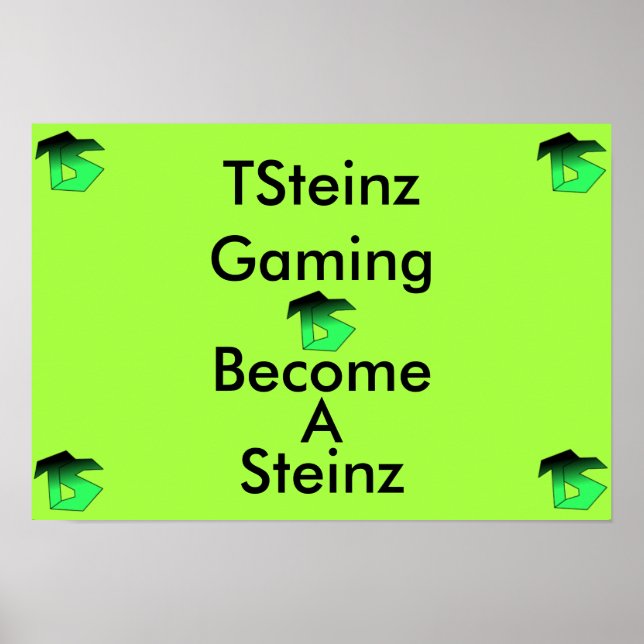 POSTER TSteinz (Frente)