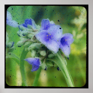 Poster TTV Floral Roxo