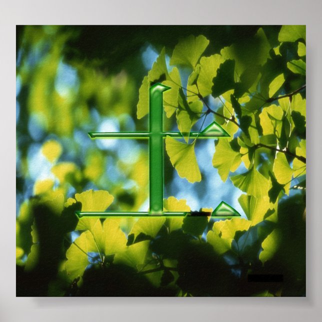 Pôster Tu (terra) (Frente)