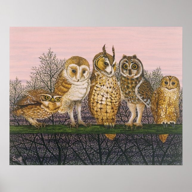 Pôster Tu-whit (Frente)