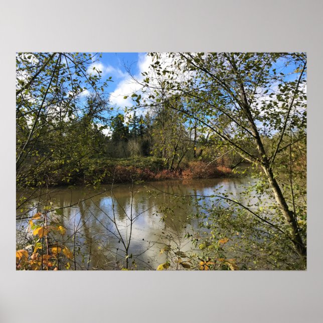 Poster Tualatin River, Oregon (Frente)
