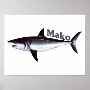 Pôster Tubarão de Mako do vintage