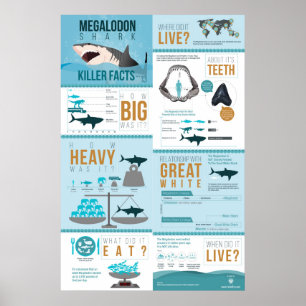 Poster Tubarão de Megalodon - fatos do assassino! 24x36 