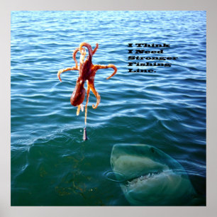 Poster Tubarão Engraçado Quer Octopus,