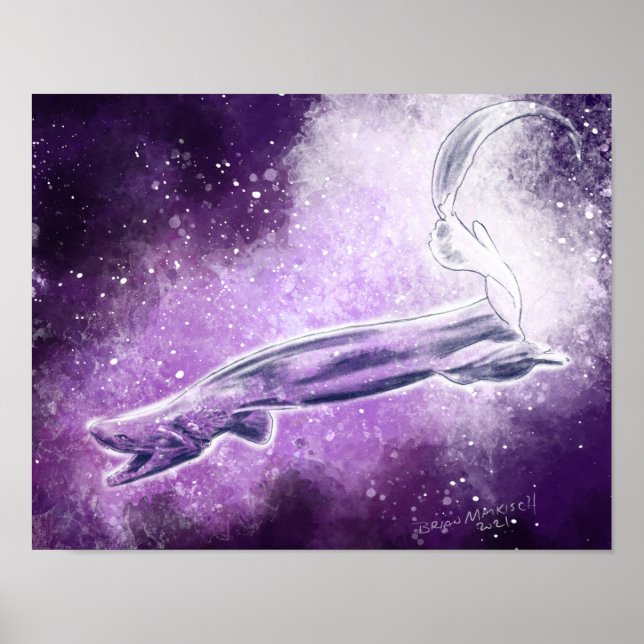 Poster Tubarão-frade (Frente)