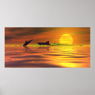 Poster Tubarão Golfinho O Jogo da Vida