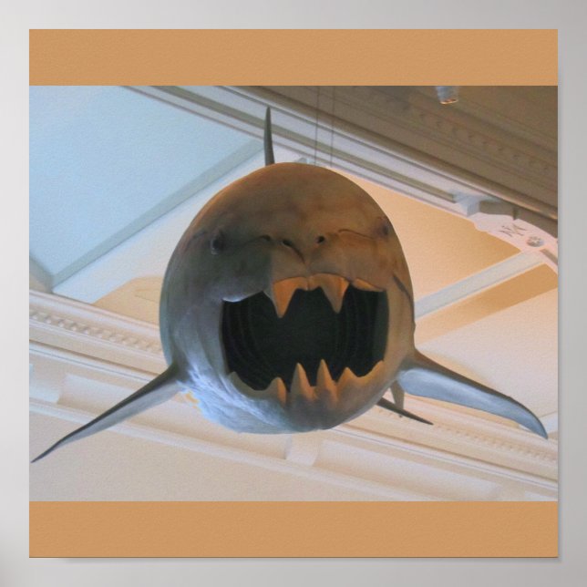Pôster Tubarão pré-histórico (Frente)