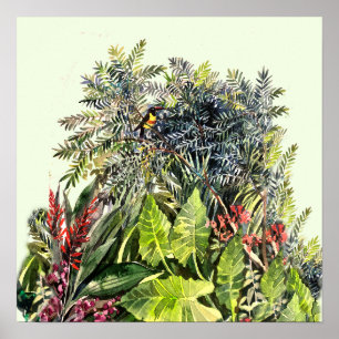 Poster Tucano Aquarela Floresta Tropical – Selva tropical