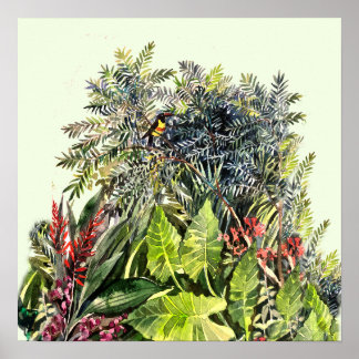 Poster Tucano Aquarela Floresta Tropical – Selva tropical