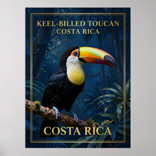 Poster Tucano-bico-de-quilha Vida Selvagem da Costa Rica
