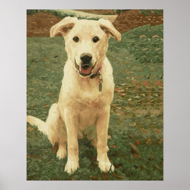 Poster Tucker  (Frente)