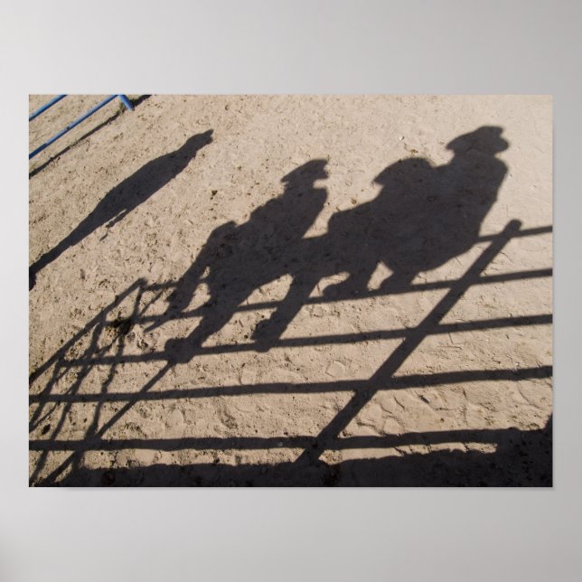 Pôster Tucson, Arizona: Sombras de competidores de Rodeo (Frente)