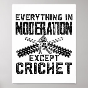 Poster Tudo Com Moderação Gráfico Divertido Para Críquete