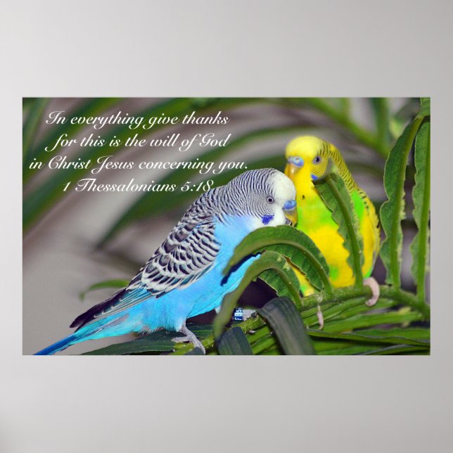 Poster Tudo dá obrigados (Frente)