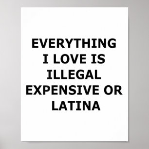 Poster Tudo o que eu amo é ilegal, caro ou latino (