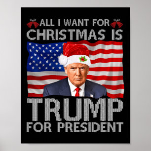 Poster Tudo O Que Eu Quero Para O Natal É Um Idiota Para