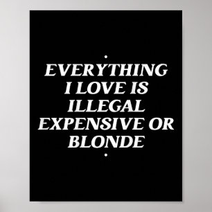 Poster Tudo Que Eu Amo É Caro Ilegal Ou Louro T