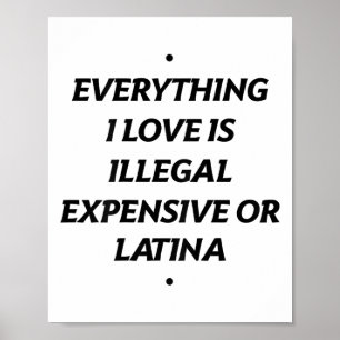 Poster Tudo Que Eu Amo É Ilegal Caro Ou Latina (