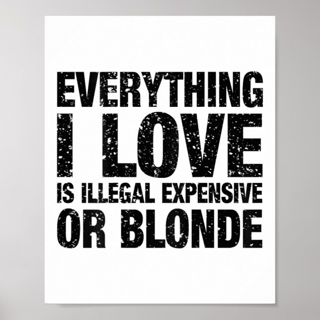 Poster Tudo Que Eu Amo É Ilegal Caro Ou Louro (Frente)