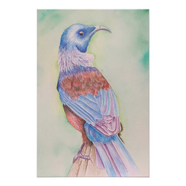 Pôster Tui - cartaz (Frente)