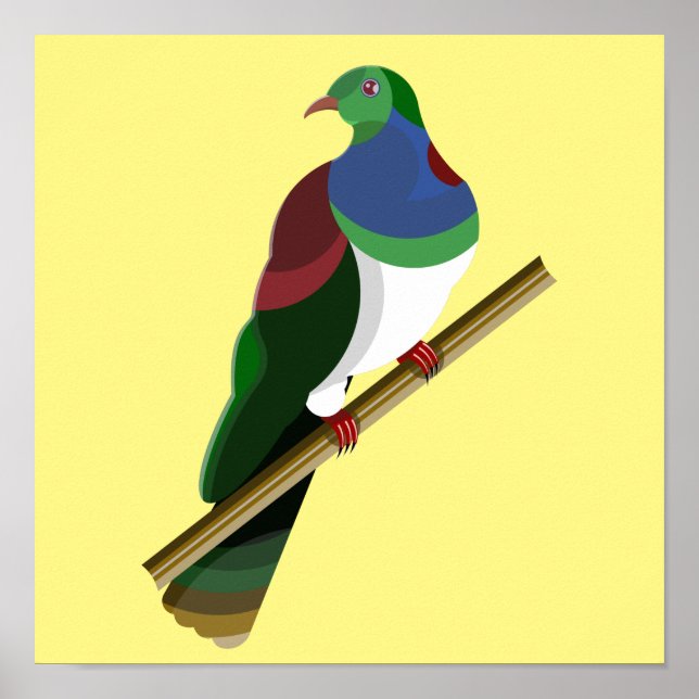 Poster Tui Kereru NZ Bird (Frente)
