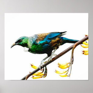 Poster Tui no linho amarelo