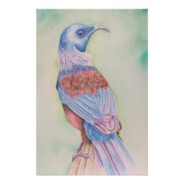 Pôster Tui - poster