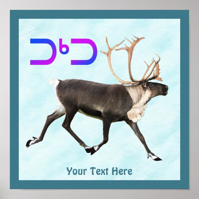 Poster Tuktu - Cariou na neve (Frente)