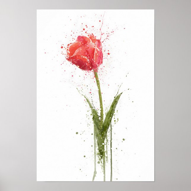 Poster  Tulip (Frente)
