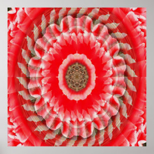 Poster Tulip Illusion......