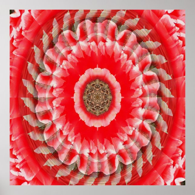 Poster Tulip Illusion...... (Frente)