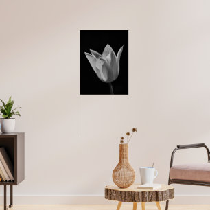 Poster Tulipa