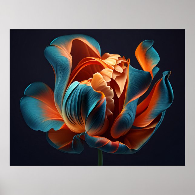 Poster Tulipa Azul e Laranja num Fundo Preto Negrito Negr (Frente)