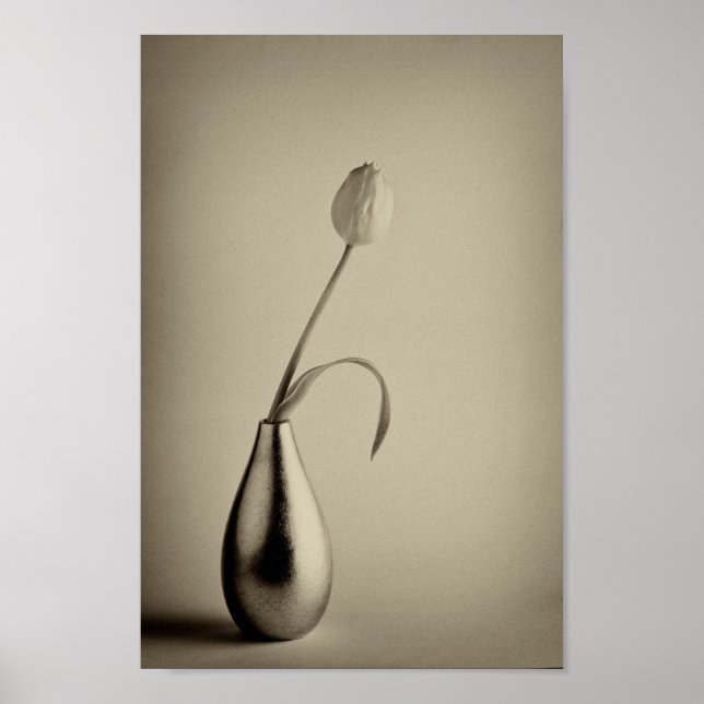 Poster Tulipa tônica com sepia envelhecida no vaso (Frente)