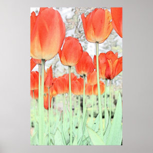 Pôster tulipa vermelha poster. planta de jardim floral p