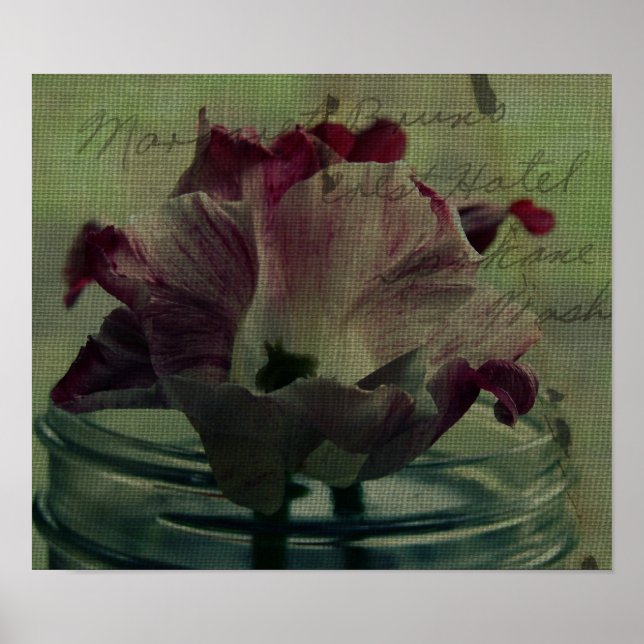 Poster Tulipas (Frente)