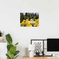 Tulipas Amarelas de Arboretum Volcji Potok Eslovên