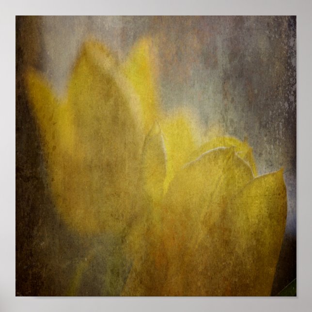 Pôster Tulipas Amarelas Flores Arte Floral Rústica (Frente)